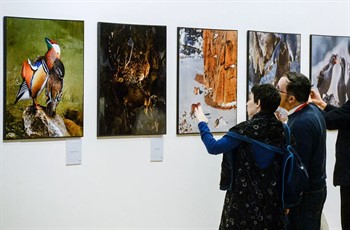 Международный фестиваль дикой природы "Золотая черепаха" открылся в Москве