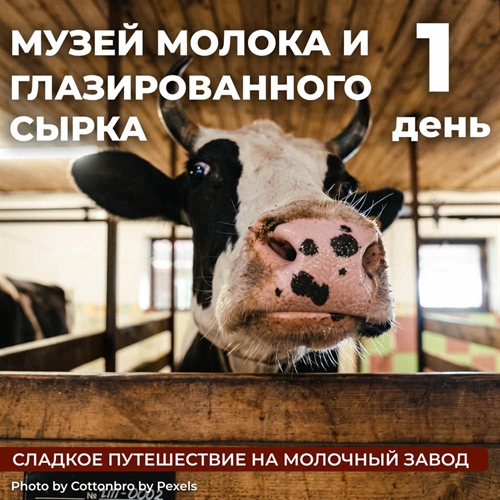 Музей молока и завод глазированных сырков - фото 23321