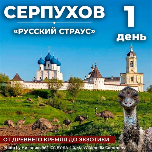 Один день в Серпухове: музей Хлеба и Страусиная ферма - фото 23658