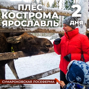 Кострома-Лосеферма-Плес-Ярославль