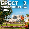 Брест - Беловежская пуща - фото 22743