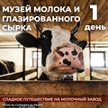 Музей молока и завод глазированных сырков - фото 23321