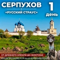 Один день в Серпухове: музей Хлеба и Страусиная ферма - фото 23658